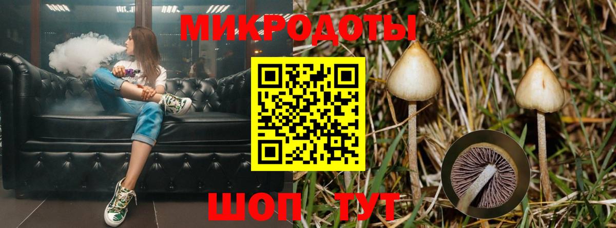 Галлюциногенные грибы MAGIC MUSHROOMS  Вход с VPN  Минусинск 